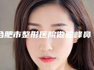 合肥市整形医院做驼峰鼻矫正术医院(合肥春语医疗美容整形门诊部口碑入选_并附价格标准)