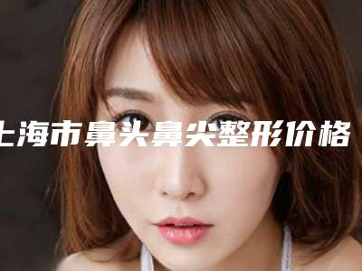 上海市鼻头鼻尖整形价格表全新版曝出-上海市鼻头鼻尖整形均价为31546元