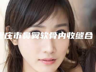枣庄市鼻翼软骨内收缝合术价格价位表全新项目一览(鼻翼软骨内收缝合术均价为：37299元)