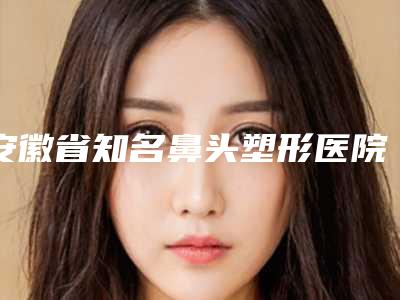 安徽省知名鼻头塑形医院-天长恒丽医疗美容诊所各自技术特点解析