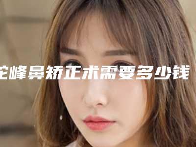 驼峰鼻矫正术需要多少钱（驼峰鼻矫正是大手术吗）